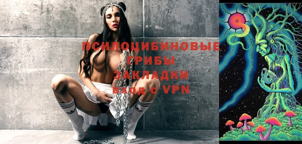 молекула духа Сатка