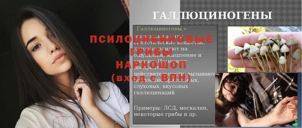 молекула духа Сатка