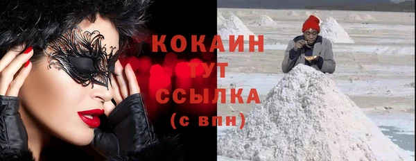 дживик Саяногорск